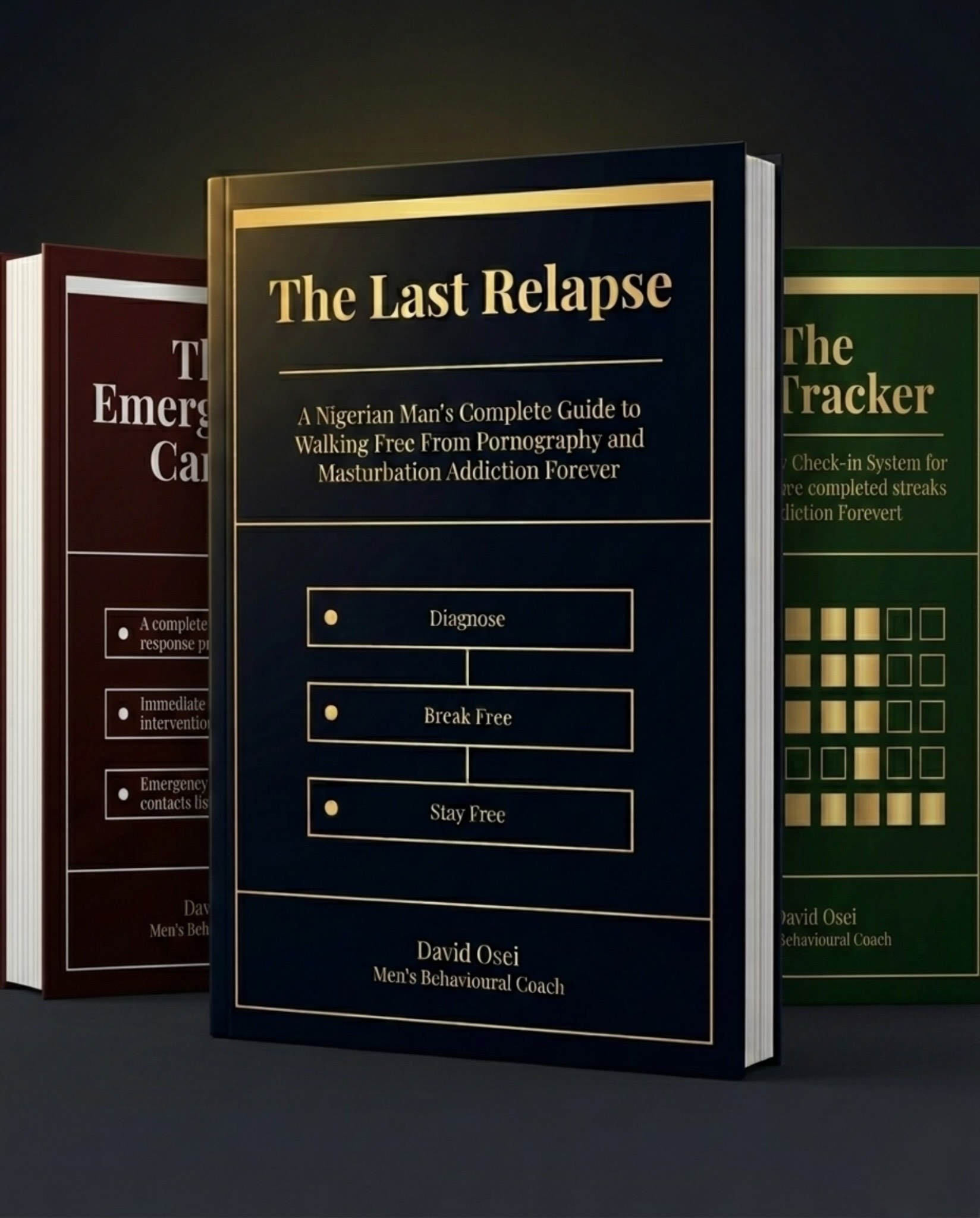 Complete Bundle — The Last Relapse Protocol + 2 Free Bonuses